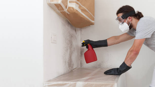 Professional Mold Remediation technician working in Rockville Centre, NY